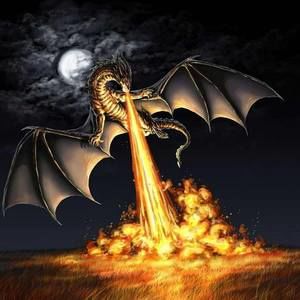 Meet your Posher, Marni